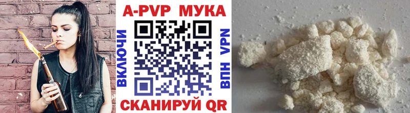 Альфа ПВП СК КРИС  Тверь 